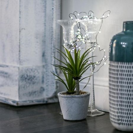 Family Apartments San Lorenzo ジェノヴァ エクステリア 写真
